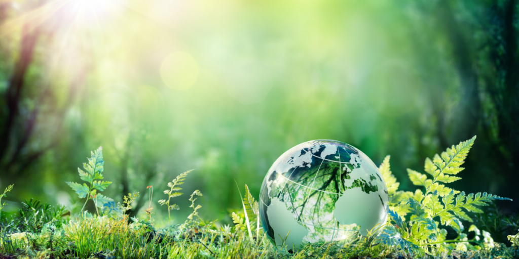 Biblical Principles of Environmental Stewardship Webinar