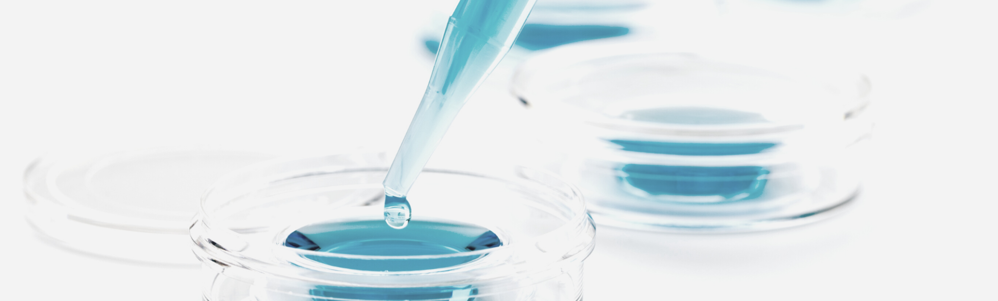 In Vitro Fertilization - Publication